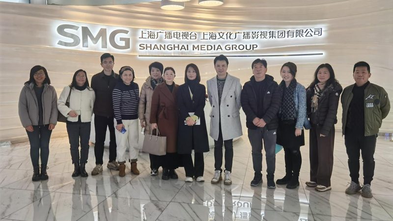 短视频素材网站会员价格解析：如何选择合适方案