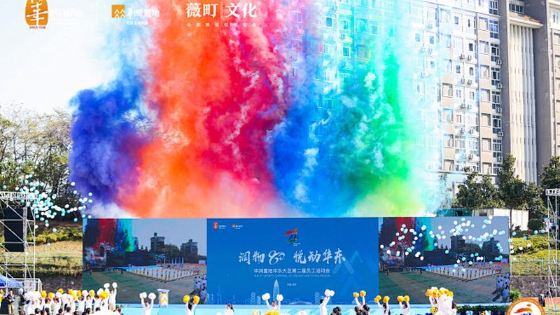 mg动画定制：揭秘一分钟价格背后的秘密